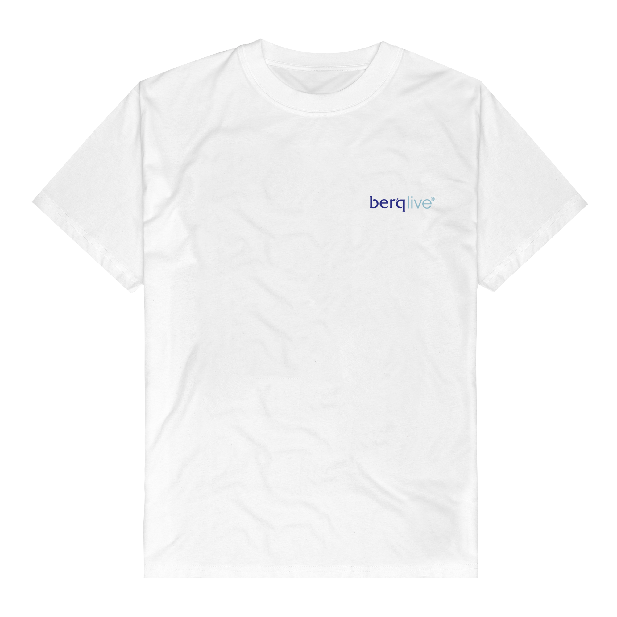 https://images.bravado.de/prod/product-assets/berq/berq-merch/products/510095/web/493170/image-thumb__493170__3000x3000_original/Berq_Tour-2024_T-Shirt_s510095_o5472379_a493170_v12335953.31be6994.png