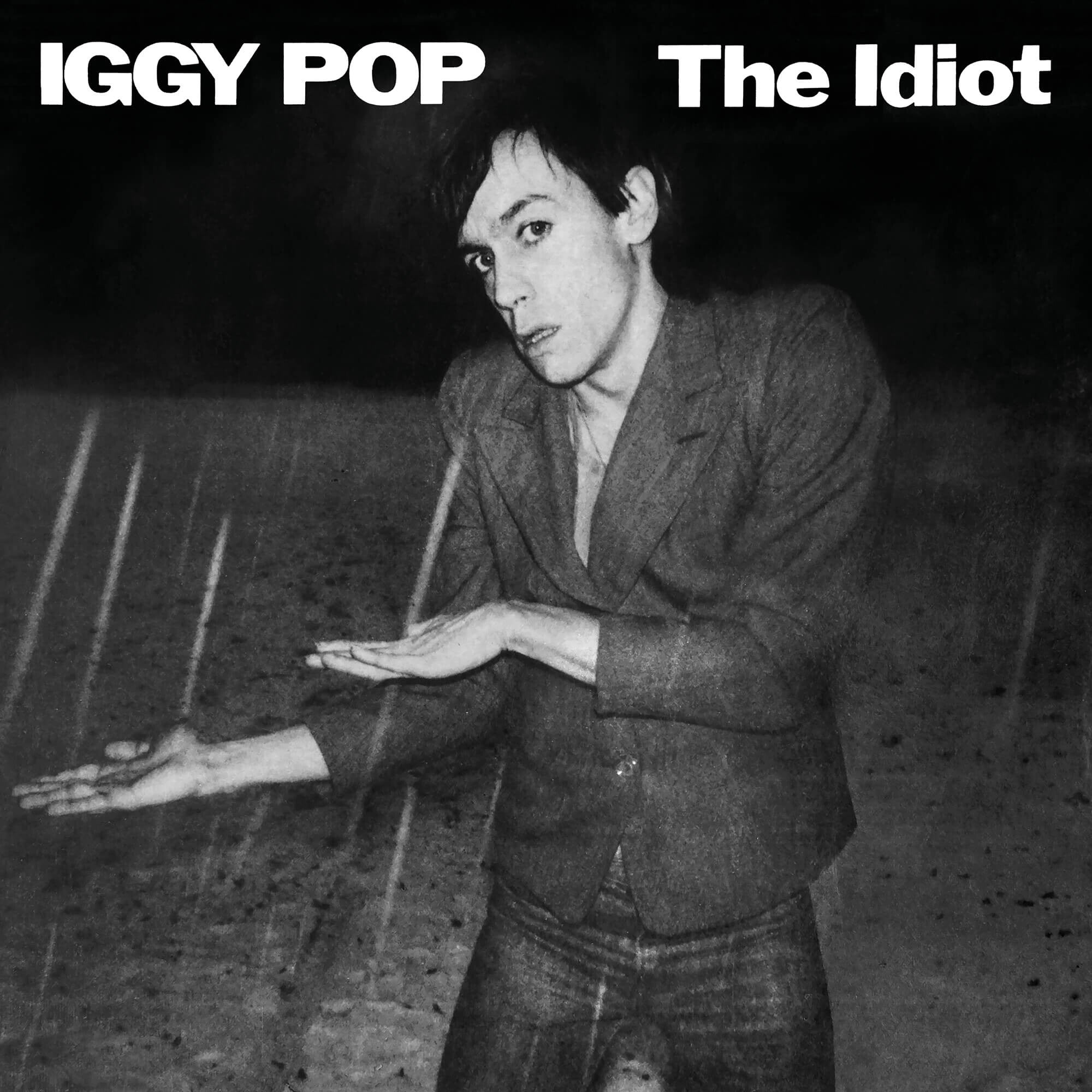 https://images.bravado.de/prod/product-assets/product-asset-data/pop-iggy/iggy-pop/products/132624/web/294835/image-thumb__294835__3000x3000_original/Iggy-Pop-The-Idiot-Deluxe-2CD-CD-Album-132624-294835.99f9d235.jpg