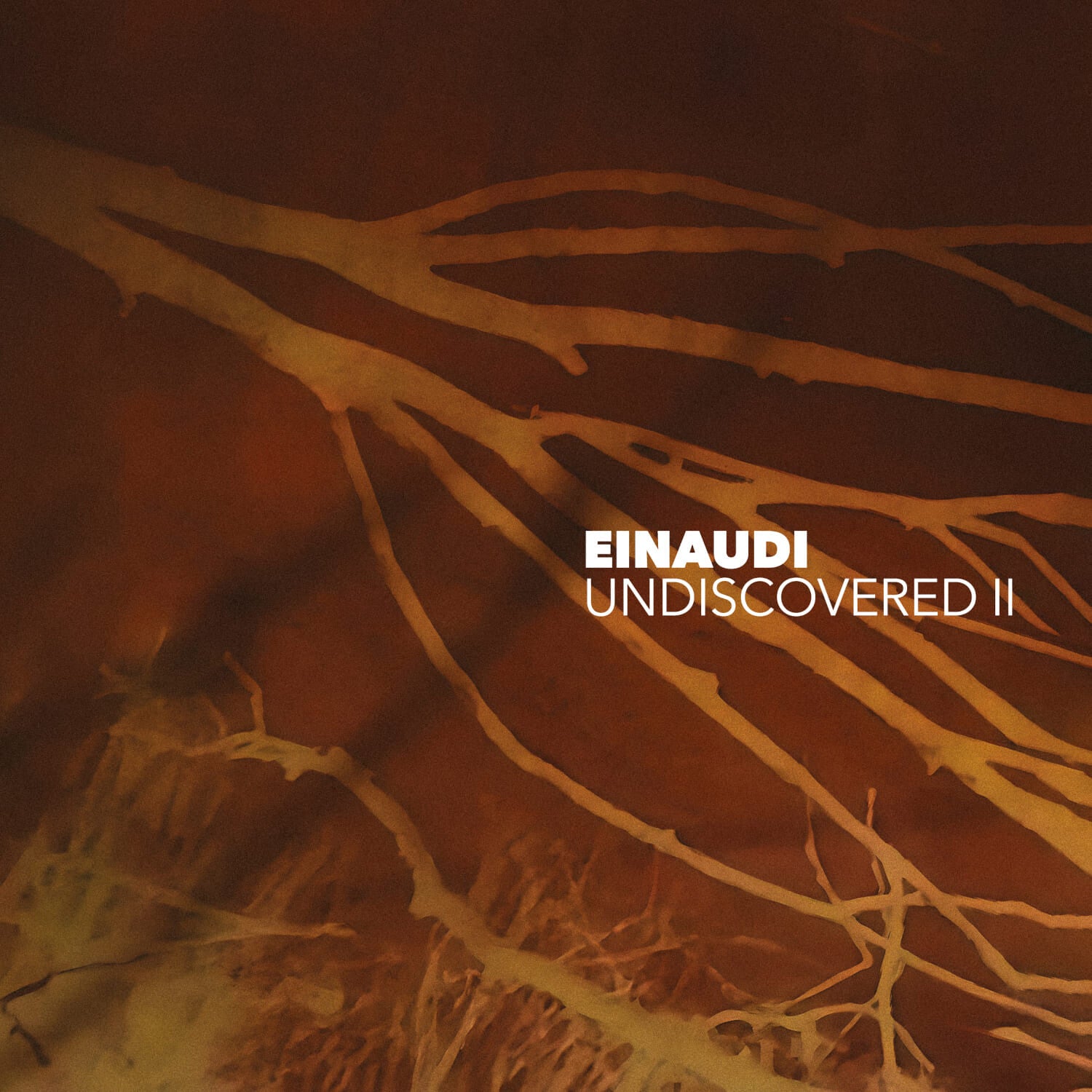 https://images.bravado.de/prod/product-assets/product-asset-data/einaudi-ludovico/ludovico-einaudi/products/502684/web/379761/image-thumb__379761__3000x3000_original/Ludovico-Einaudi-Undiscovered-Vol-2-Vinyl-Album-502684-379761.e54eab9b.jpg