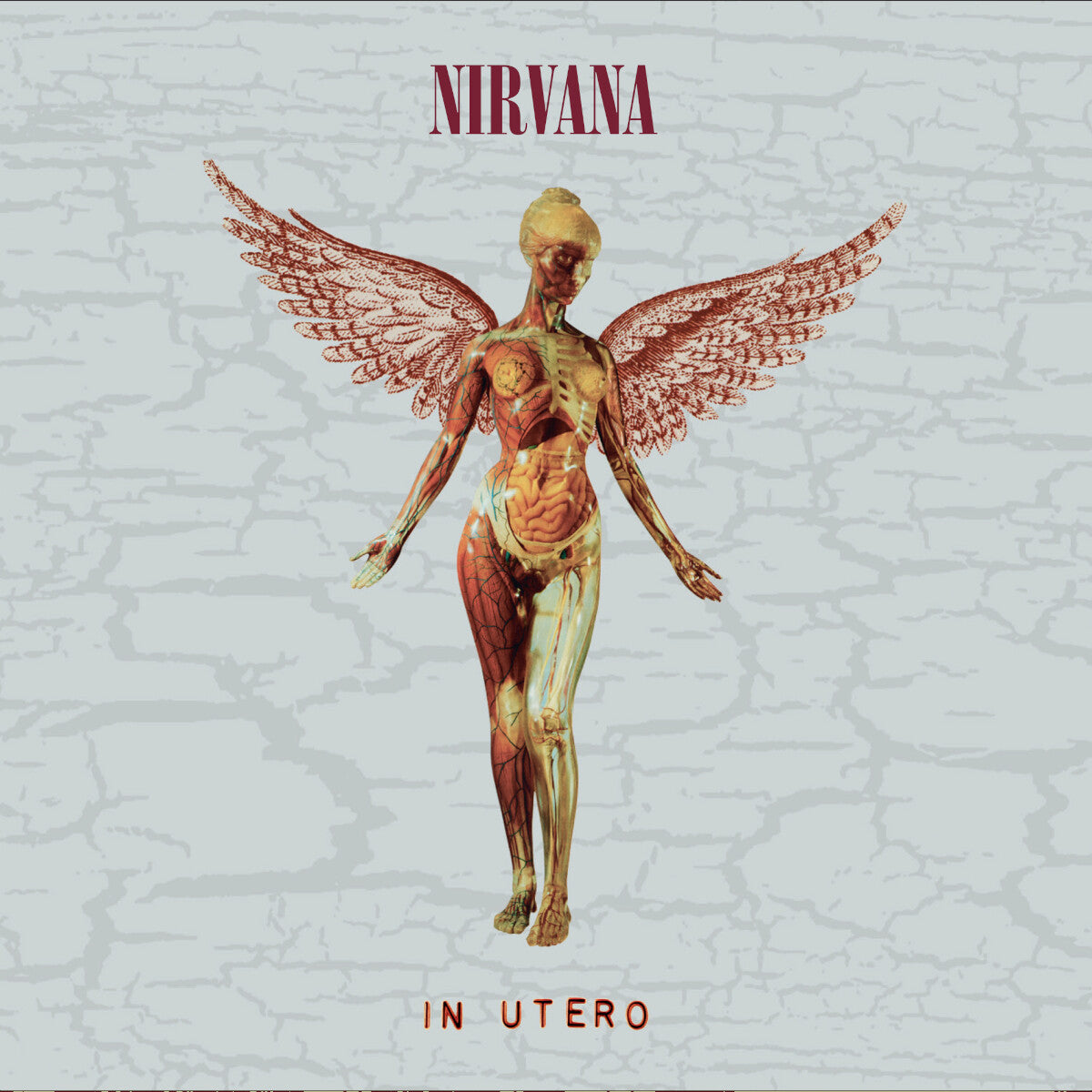 https://images.bravado.de/prod/product-assets/product-asset-data/nirvana/nirvana-1/products/504740/web/400522/image-thumb__400522__3000x3000_original/Nirvana_In-Utero_Deluxe-2CD_s504740_o2103905_a400522_v10846549.d534c786.jpg